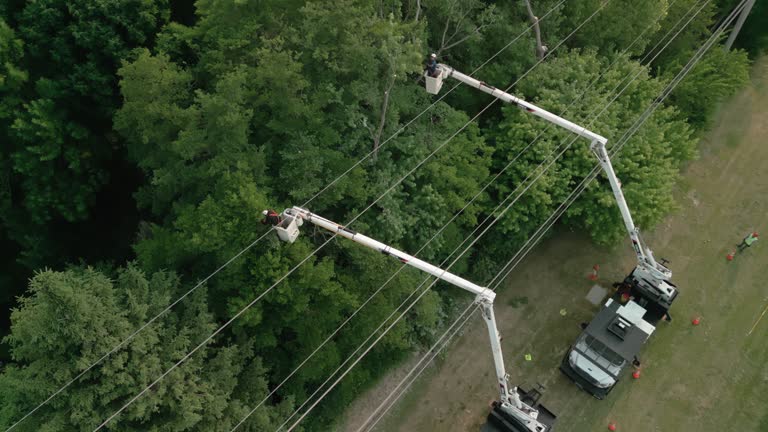 Best Storm Damage Tree Cleanup  in Oakland, SC