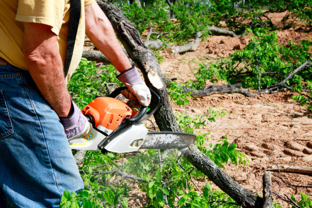 Best Hazardous Tree Removal  in Oakland, SC